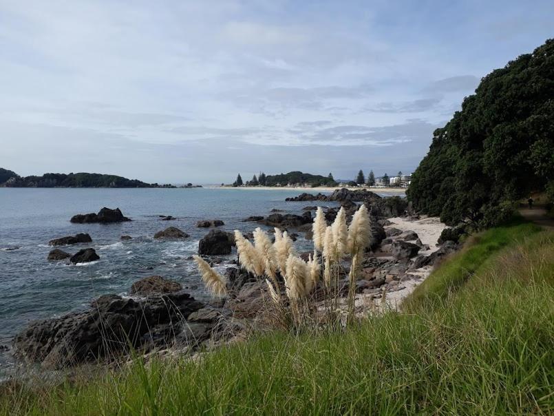 Downtown Mount B And B Mount Maunganui Ngoại thất bức ảnh